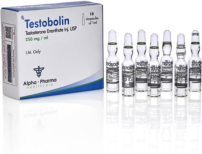 TestoBolin (Testosterona Enantato) 250mg -Alpha-Pharma - Imagem 2